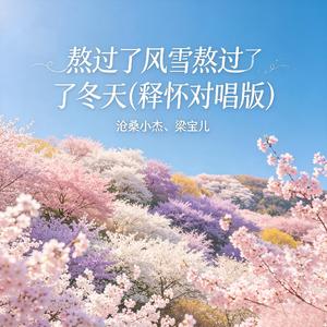 熬过了风雪熬过了冬天(释怀对唱版)