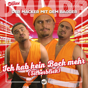 Ich hab kein Bock mehr (Silberblick)