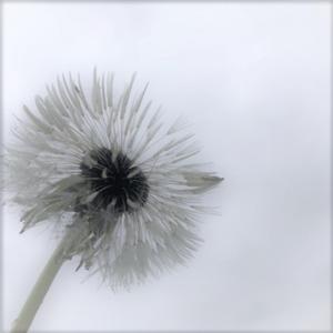 I Mean, for Now (Instrumental) (Instrumental)