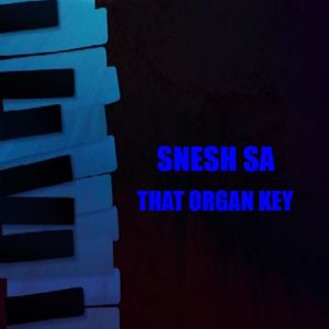 THAT ORGAN KEY