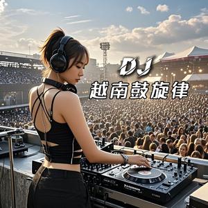 越南鼓旋律（vinahouse）