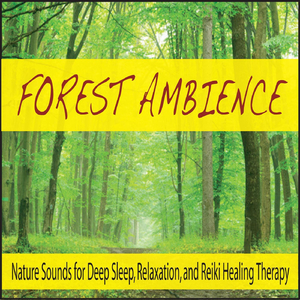 Forest Ambience