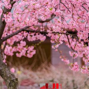 他 人 即 是 地 狱