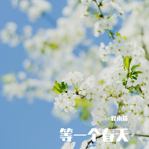 等一个春天