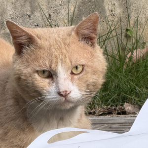 真诚的必杀技.wav