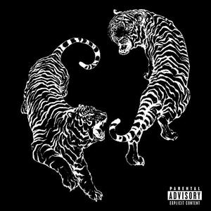 FOOL (feat. GOGOLDO!)