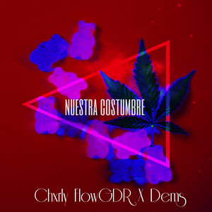 Nuestra Costumbre