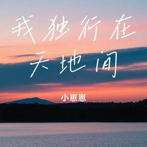 我独行在天地间 (Cover 五凉十坊武威特产馆)