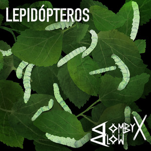 Papeis Mollados