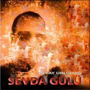 Geri Dön, Gitme Kal S2