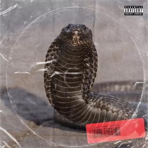 F.A.F.O (feat. Boom Slapp)