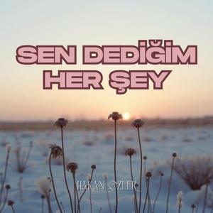 Sen Dediğim Her Şey
