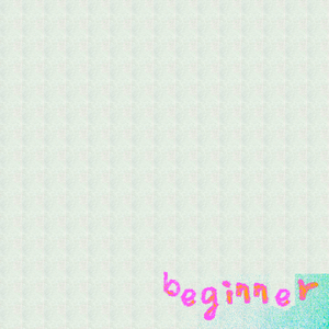 beginner