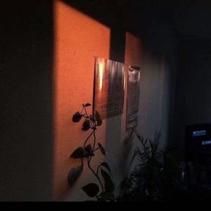 situasian张太郎-爱如潮水remix（ZCZ福罗贝 / Log11 remix）