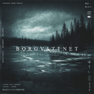 Borgvattnet