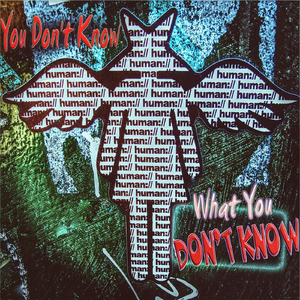 You Don't Know What You Don't Know