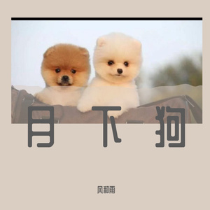 月下狗 (3)