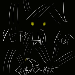 Чёрный кот