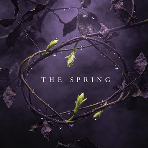 The spring