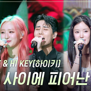 건물 사이에 피어난 장미 (Live)