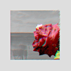 the girl i havent met