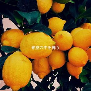 Classic Music for Work Break