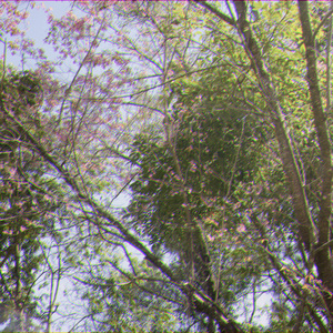 ตื่นขึ้น