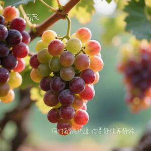 辞家千里又千里 务必争气再争气