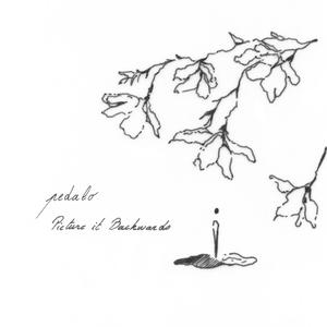 Picture It Backwards