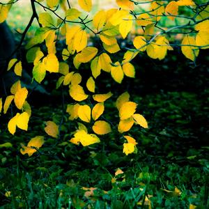 我告别南半球奔向北海道