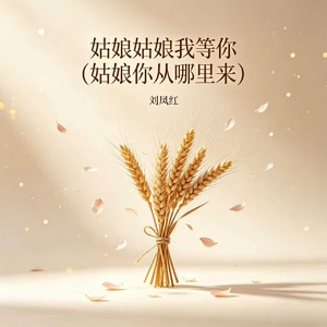 姑娘姑娘我等你(姑娘你从哪里来)