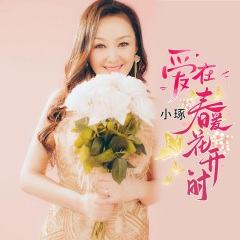 爱在春暖花开时 (DJ版)