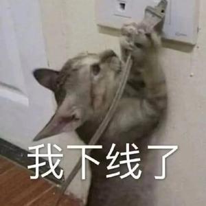 忏悔录