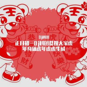 未知-正月初一Dj科囝恭祝大家虎年身体虎年虎虎生威（Dj科囝 remix）