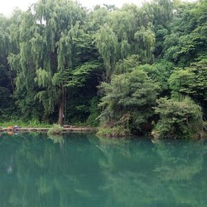 最是无情无人等