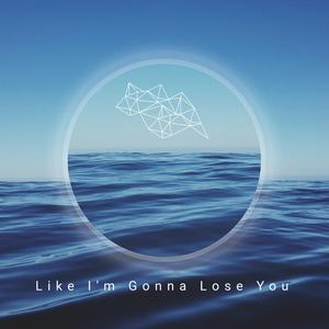 Like I'm Gonna Lose You