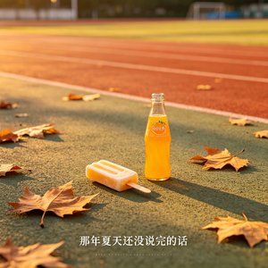 那年夏天还没说完的话