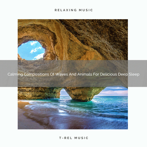 Advanced Music Of Ocean And Water For Sleep