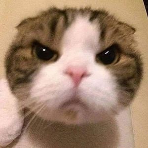 离天只差三尺三