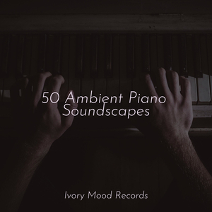 Echoes in the Valley