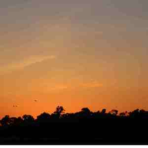 月坠花折 (竖琴曲)