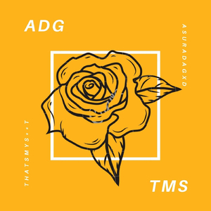 TMS