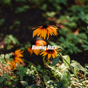 Background for Iced Double Americano