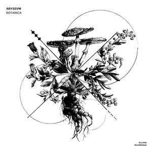 Artemisia Absinthium