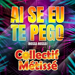 Ai Se Eu Te Pego (Nossa - Nossa)