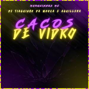 Cacos de Vidro