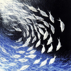 剩下的你听懂我吗 薛凯琪