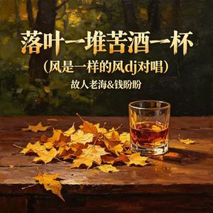 落叶一堆苦酒一杯（风是一样的风dj对唱)