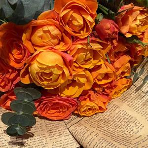 Dream Lover (Prod.Gr33nart Beats)