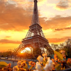 风与年轮的暗号